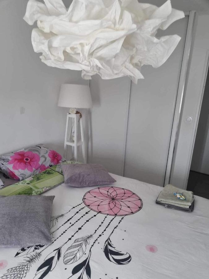 Chez Moi A Cote Du Groupama Stadium Homestay *